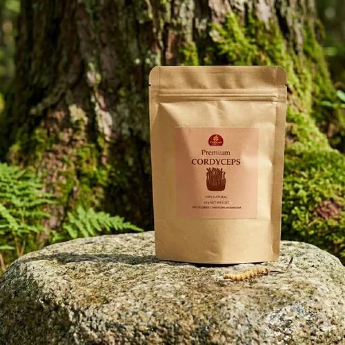 Thien An Premium Cordyceps Mushroom