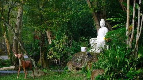 The art of dwelling in the present moment, according to the One Night Sage Sutra.