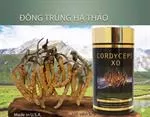 Đông Trùng Hạ Thảo Cordyceps XO – Premium Dietary Supplement