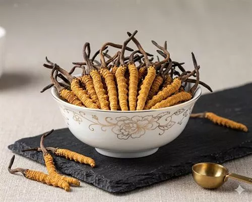 Đông Trùng Hạ Thảo Cordyceps XO – Premium Dietary Supplement